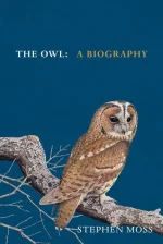 The Owl