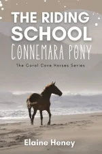 The Riding School Connemara Pony