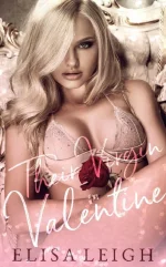 Their Virgin Valentine