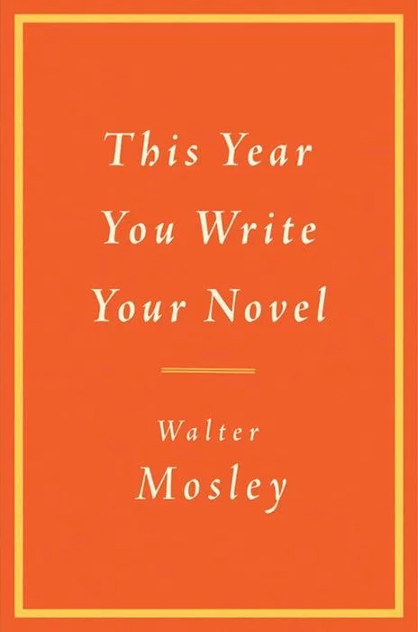 This Year You Write Your Novel