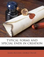 Typical Forms and Special Ends in Creation