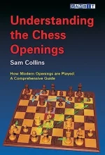Understanding the Chess Openings