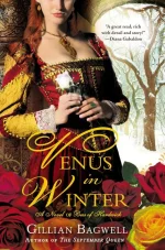 Venus in Winter