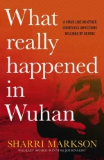 What Really Happened in Wuhan