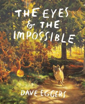 The Eyes & the Impossible
