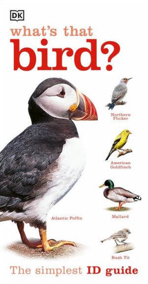 What's That Bird?