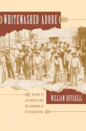 Whitewashed Adobe