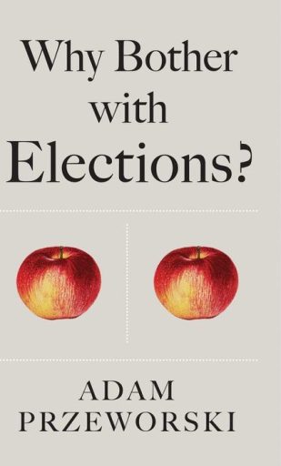 Why Bother With Elections?