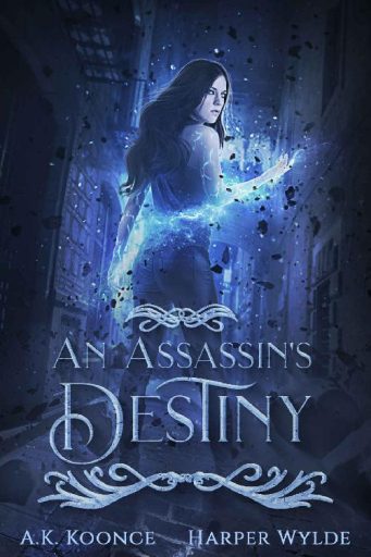 An Assassin's Destiny
