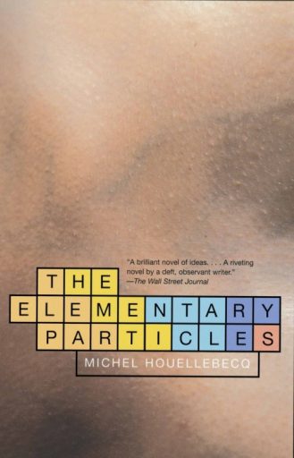The Elementary Particles