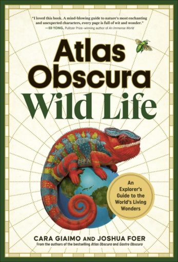 Atlas Obscura