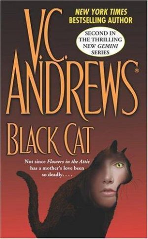 Black Cat