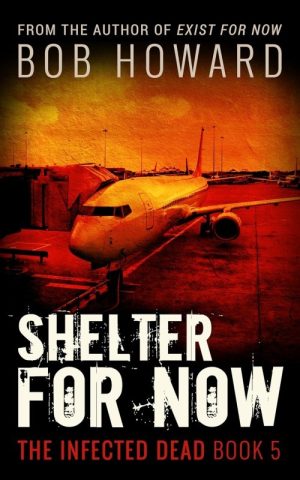 Shelter for Now