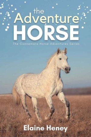 The Adventure Horse