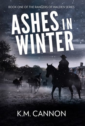 Ashes in Winter
