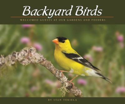 Backyard Birds