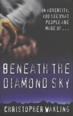 Beneath the Diamond Sky