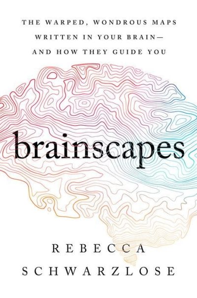 Brainscapes