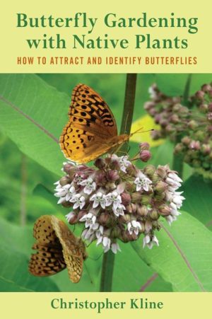 Butterfly Gardening With Native Plants