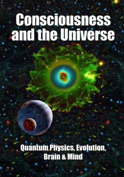 Consciousness and the Universe