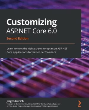 Customizing ASP.NET Core 6.0
