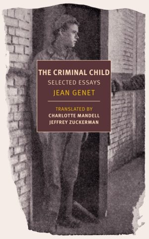 The Criminal Child: Selected Essays