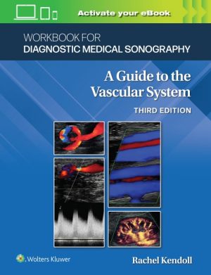 A Guide to the Vascular System