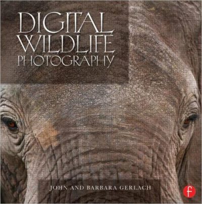 Digital Wildlife Photography