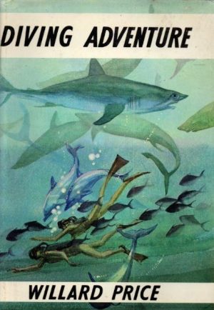 Diving Adventure