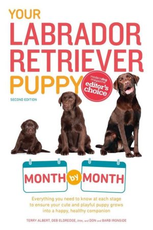 Your Labrador Retriever Puppy Month by Month