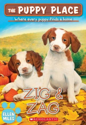 Zig & Zag
