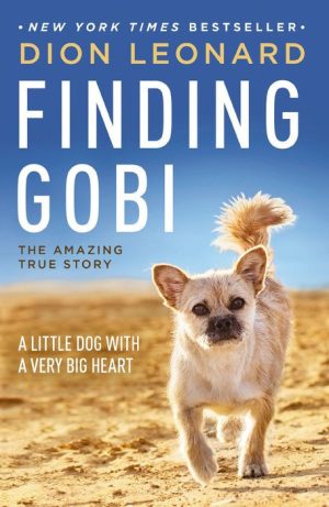 Finding Gobi: A Little Dog With a Very Big Heart