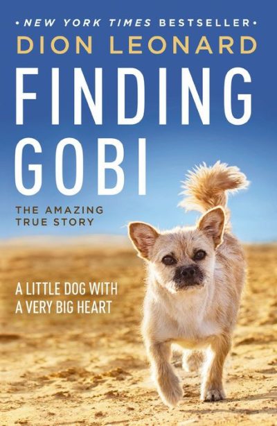 Finding Gobi: A Little Dog With a Very Big Heart