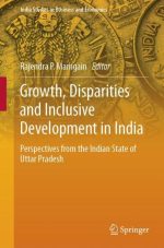 Growth, Disparities and Inclusive Development in India
