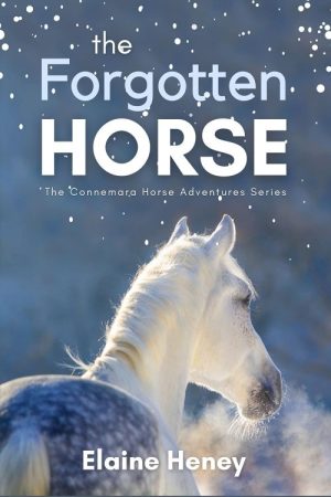 The Forgotten Horse