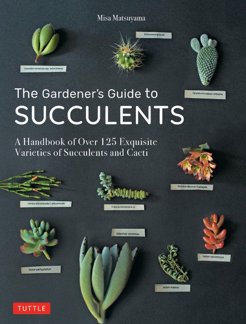 The Gardener's Guide to Succulents The Gardener's Guide to Succulents