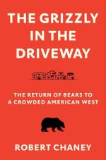 The Grizzly in the Driveway