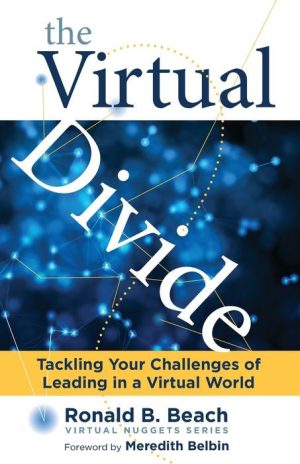 The Virtual Divide