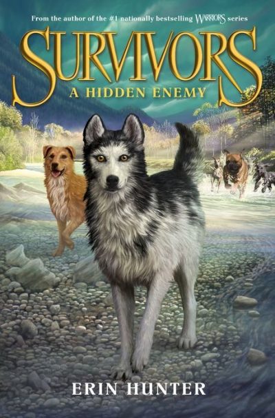 A Hidden Enemy