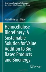Hemicellulose Biorefinery