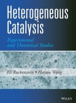 Heterogeneous Catalysis