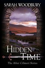Hidden in Time