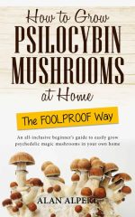 How to Grow Psilocybin Mushrooms at Home