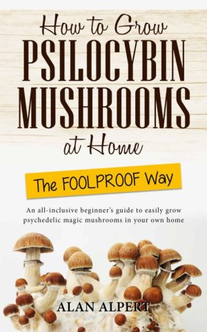 How to Grow Psilocybin Mushrooms at Home