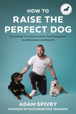How to Raise the Perfect Dog