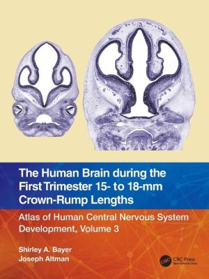 The Human Brain During the First Trimester 15- to 18-Mm Crown-Rump Lengths