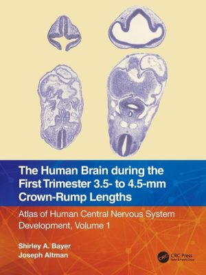 The Human Brain During the First Trimester 3.5- to 4.5-Mm Crown-Rump Lengths