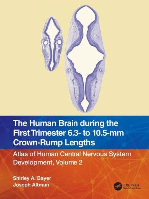 The Human Brain During the First Trimester 6.3- to 10.5-Mm Crown-Rump Lengths