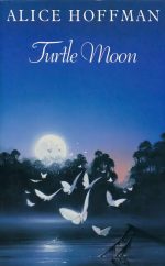 Turtle Moon
