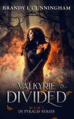 Valkyrie Divided